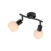 Lichten Direct LOKI Plafondlamp LED Zwart, 2-lichts