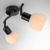 Lichten Direct LOKI Plafondlamp LED Zwart, 2-lichts