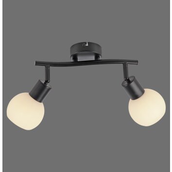 Lichten Direct LOKI Plafondlamp LED Zwart, 2-lichts