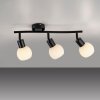 Lichten Direct LOKI Plafondlamp LED Zwart, 3-lichts