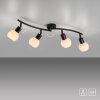 Lichten Direct LOKI Plafondlamp LED Zwart, 4-lichts