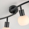 Lichten Direct LOKI Plafondlamp LED Zwart, 4-lichts