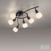 Lichten Direct LOKI Plafondlamp LED Zwart, 6-lichts