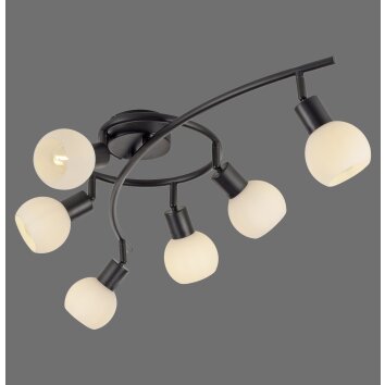 Lichten Direct LOKI Plafondlamp LED Zwart, 6-lichts