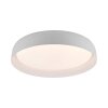 Lichten Direct OSKO Plafondlamp LED Wit, 1-licht, Afstandsbediening