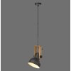 Lichten Direct 2.0 Hanglamp LED Bruin, Zwart, 1-licht