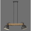 Lichten Direct 2.0 Hanglamp LED Bruin, Zwart, 2-lichts