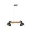 Lichten Direct 2.0 Hanglamp LED Bruin, Zwart, 2-lichts