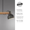 Lichten Direct 2.0 Hanglamp LED Bruin, Zwart, 2-lichts