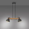 Lichten Direct 2.0 Hanglamp LED Bruin, Zwart, 2-lichts