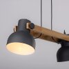 Lichten Direct 2.0 Hanglamp LED Bruin, Zwart, 2-lichts