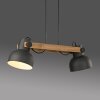 Lichten Direct 2.0 Hanglamp LED Bruin, Zwart, 2-lichts