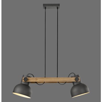 Lichten Direct 2.0 Hanglamp LED Bruin, Zwart, 2-lichts