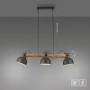 Lichten Direct 2.0 Hanglamp LED Bruin, Zwart, 3-lichts