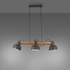 Lichten Direct 2.0 Hanglamp LED Bruin, Zwart, 3-lichts