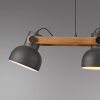 Lichten Direct 2.0 Hanglamp LED Bruin, Zwart, 3-lichts