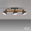 Lichten Direct 2.0 Plafondlamp LED Bruin, Zwart, 3-lichts