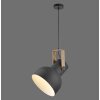 Lichten Direct 2.0 Hanglamp LED Bruin, Zwart, 1-licht