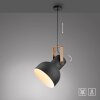 Lichten Direct 2.0 Hanglamp LED Bruin, Zwart, 1-licht