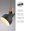 Lichten Direct 2.0 Hanglamp LED Bruin, Zwart, 1-licht