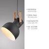 Lichten Direct 2.0 Hanglamp LED Bruin, Zwart, 1-licht