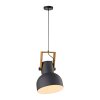 Lichten Direct 2.0 Hanglamp LED Bruin, Zwart, 1-licht