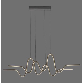 Paul Neuhaus Verlichting Altitude Hanglamp LED Zwart, 1-licht