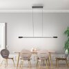 Paul Neuhaus Verlichting Hoop Hanglamp LED Antraciet, Zilver, 1-licht