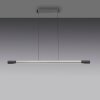 Paul Neuhaus Verlichting Hoop Hanglamp LED Antraciet, Zilver, 1-licht