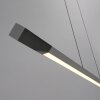 Paul Neuhaus Verlichting Hoop Hanglamp LED Antraciet, Zilver, 1-licht