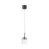 Paul Neuhaus Verlichting Q-Kon Hanglamp LED Bruin, 1-licht, Afstandsbediening