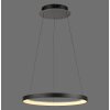 Paul Neuhaus Verlichting Hoop Hanglamp LED Zwart, 1-licht