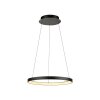 Paul Neuhaus Verlichting Hoop Hanglamp LED Zwart, 1-licht