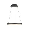 Paul Neuhaus Verlichting Hoop Hanglamp LED Zwart, 1-licht