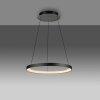 Paul Neuhaus Verlichting Hoop Hanglamp LED Zwart, 1-licht