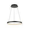 Paul Neuhaus Verlichting Hoop Hanglamp LED Zwart, 1-licht