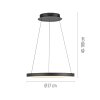 Paul Neuhaus Verlichting Hoop Hanglamp LED Zwart, 1-licht