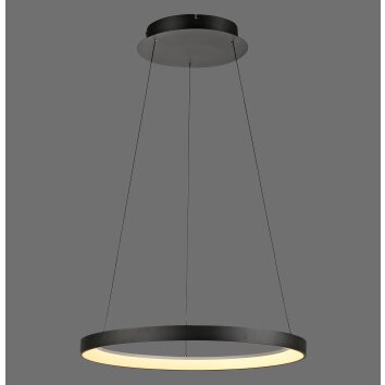 Paul Neuhaus Verlichting Hoop Hanglamp LED Zwart, 1-licht