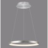 Paul Neuhaus Verlichting Hoop Hanglamp LED Zilver, 1-licht