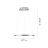 Paul Neuhaus Verlichting Hoop Hanglamp LED Zilver, 1-licht