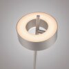 Paul Neuhaus Verlichting Q-Rotate Staande lamp LED Zilver, 1-licht