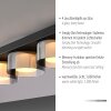 Paul Neuhaus Verlichting Rika Plafondlamp LED Zwart, 4-lichts