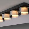 Paul Neuhaus Verlichting Rika Plafondlamp LED Zwart, 4-lichts