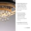 Paul Neuhaus Verlichting Rotazo Plafondlamp LED Goud, Zwart, 1-licht