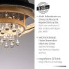 Paul Neuhaus Verlichting Rotazo Plafondlamp LED Goud, Zwart, 1-licht