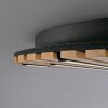 Paul Neuhaus Verlichting Q-Akustik Wand- en plafondlamp LED Bruin, Zwart, 1-licht, Afstandsbediening