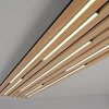 Paul Neuhaus Verlichting Q-Akustik Wand- en plafondlamp LED Bruin, Zwart, 1-licht, Afstandsbediening