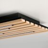 Paul Neuhaus Verlichting Q-Akustik Wand- en plafondlamp LED Bruin, Zwart, 1-licht, Afstandsbediening