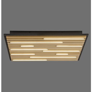 Paul Neuhaus Verlichting Q-Akustik Wand- en plafondlamp LED Bruin, Zwart, 1-licht, Afstandsbediening