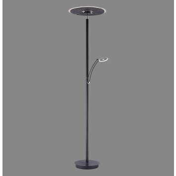 Paul Neuhaus Verlichting Artur Staande lamp LED Antraciet, 2-lichts